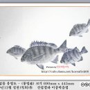 어탁27/ 감성돔 학명:Acanthopagrus schlegeli 영명:black porgy, black sea bream -박제,어탁(魚拓),예술어탁,물고기,어류,fish 이미지