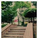교화어린이공원 이미지