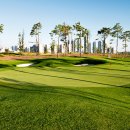 베스트 골프클럽 이미지