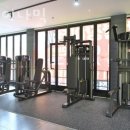 짐다이나믹 이미지