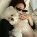 차정원 카카오 검색결과