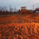 일로농협주유소 이미지