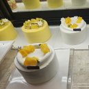 프랑제리PEER부산 이미지