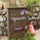 대구 시티투어버스 | 뚜벅이 여행코스 | 청라언덕 | 수성못 | 동대구역 막창 맛집 | 우야지막창 솔직후기