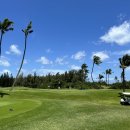 OK 골프클럽 이미지