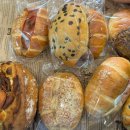 피자코소 이미지