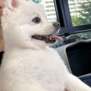 쵸크아트 | 우당탕탕 7-8월 일상이야기