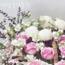 태양꽃식물원