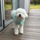 올라운드원 이미지