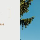 리안커뮤니티 이미지