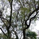 서홍동-8 이미지