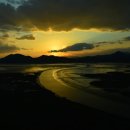 순천만습지 이미지