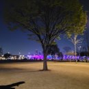 피크닉케이크 이미지