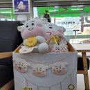 가까운 태평양약국 이미지