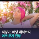 머크라 | 저평가에 배당까지? 머크(MRK)주식 주가 전망! 기회 잡아볼까?