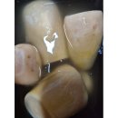 맛사랑식품 이미지