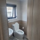 퍼피랜드 이미지