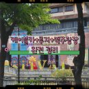 베트남 여행기 2일차 | 바나힐 다녀온 후기 [호이안→바나힐 이동]