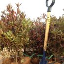 고찬농장 이미지