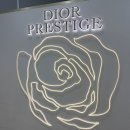 대상기프트 | [롯데백화점 일산점 ] 디올 프레스티지 VIP 뷰티 클래스 후기 (제품 테스팅 + 기프트)