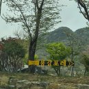 동읍1177 이미지