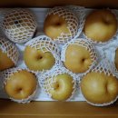 하동농장 이미지