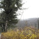 북한강강변길 이미지