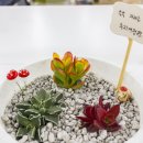 여성커뮤니티센터(일산서구청2층) 이미지