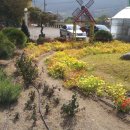 영천가든 이미지