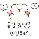 J 애견 미용 이미지
