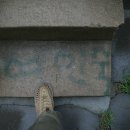 신진여인숙 이미지