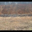 화성바이오공인중개사사무소 이미지