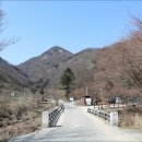 봄날의 담양 민박 | 장성 백양사/고불매~홍매화 꽃보러 오세요