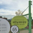 부곡4세천 | 대구튤립명소 세천늪테마정원 추천후기, 인생샷 찍으러 가세요 (26.04.12 방문)