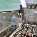 와이즈바이오 이미지