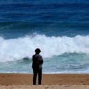 바다정원 이미지