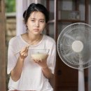 세계적인 조향사들이 만든 에센셜퍼퓸 후기!