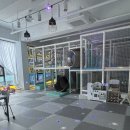 파리바게트 청주방서점 이미지