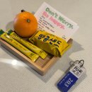 해뜨는집펜션 | [제주/성산] <해뜨는 집> 펜션