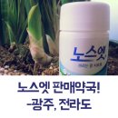 팜프라자수완약국 | 여름에는 노스엣! 판매약국 알려드릴게요. - 광주, 전라도