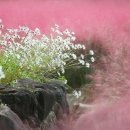 사진 기초에서 작품까지 이미지