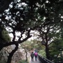 도성집 이미지