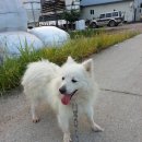 식현2리 이미지