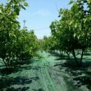 덕이 농장 이미지