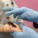 다솜생태체험관 이미지