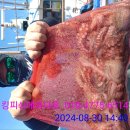 에바다호 이미지