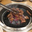 황소야돼지야