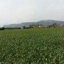 대포포구1 이미지