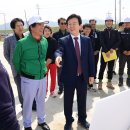 와룡지구 이미지