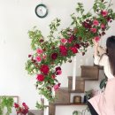 반송동125 이미지